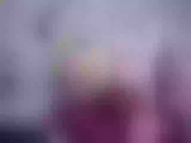 Live sex webcam photo for SexyAshley2x #254422938