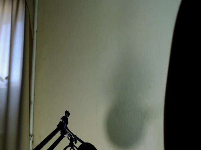 Live sex webcam photo for FoundError404 #264685851