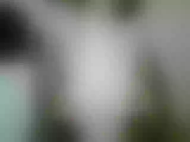 Live sex webcam photo for Terra1123 #261639490