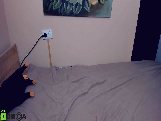 Live sex webcam photo for VellaB #254729759