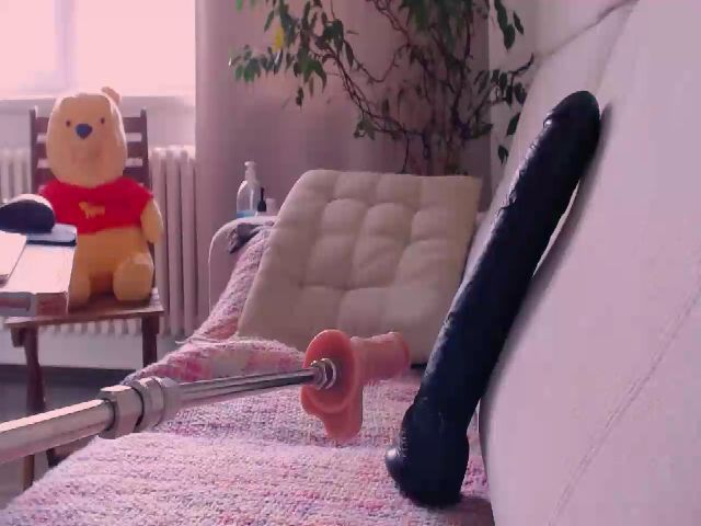 Live sex webcam photo for WildredheadCZ #253728956