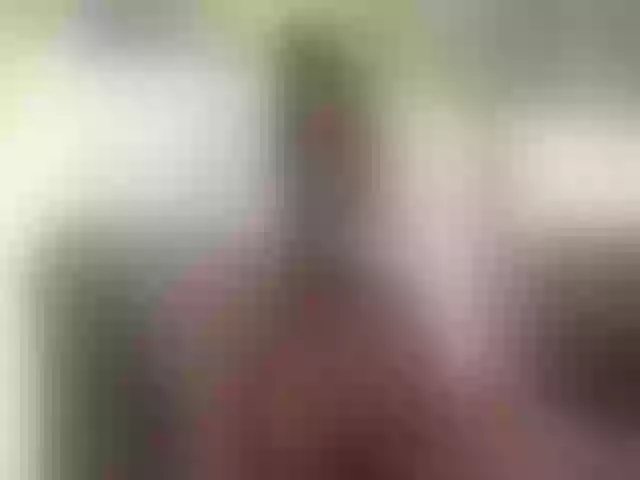 Live sex webcam photo for PerfectAle #252455542