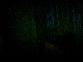 Live sex webcam photo for MariyMai #240591892