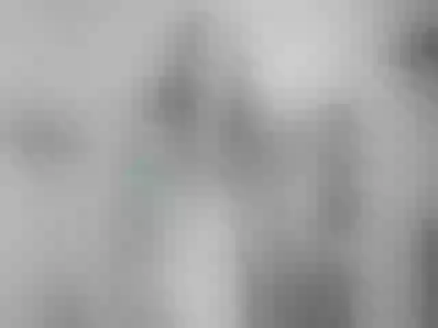Live sex webcam photo for LEYNABRAUN #256462170