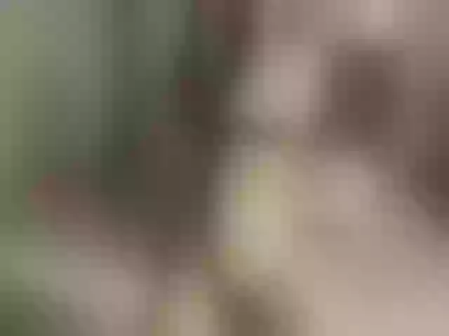 Live sex webcam photo for Sonyabrage #255704453