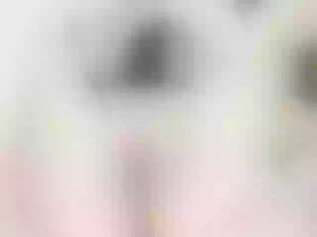 Live sex webcam photo for samanttafoxxx #256852967