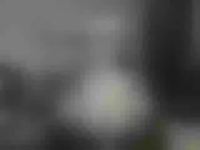 Live sex webcam photo for BlackCatxx #241370709