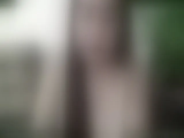 Live sex webcam photo for CrazyJane1 #256136355