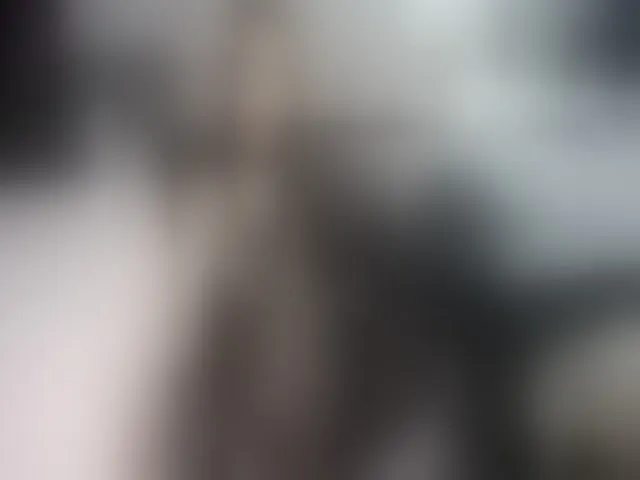 Live sex webcam photo for Sweet_tits2 #255737485
