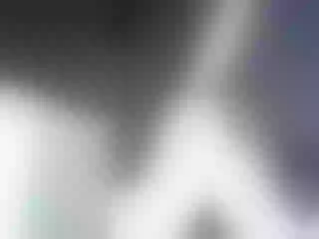 Live sex webcam photo for fox-seks #241211078