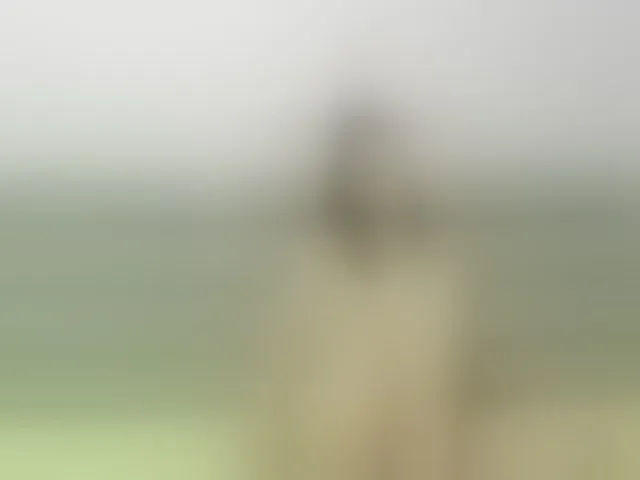 Live sex webcam photo for AnyGreen #241071559