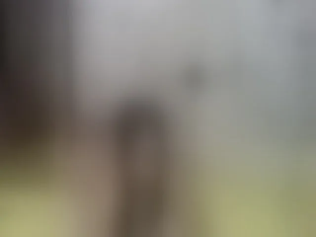 Live sex webcam photo for AbbyCollinss #257745757