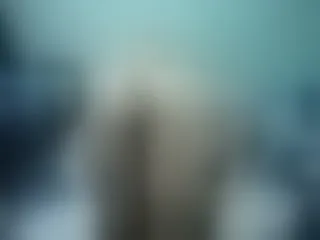 Live sex webcam photo for Girlhornyx20 #252034180