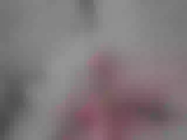 Live sex webcam photo for ArdentAria #252769328