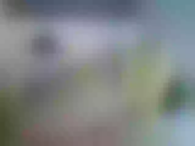 Live sex webcam photo for SUSYBALE #261583156