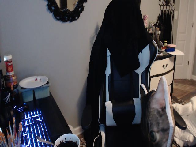 Live sex webcam photo for Painbaby #262480582