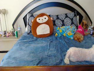 Live sex webcam photo for lyllla #252086446