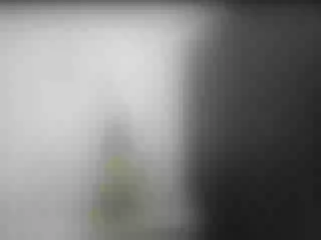 Live sex webcam photo for Brithneywill #253884907