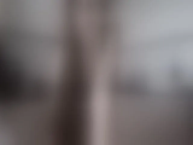 Live sex webcam photo for Sonyabrage #264329788