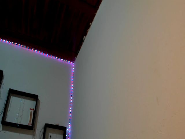 Live sex webcam photo for IrisDeus #262145535