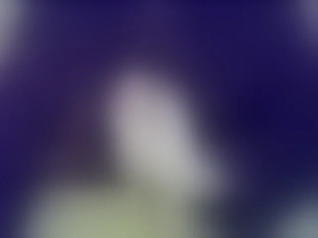 Live sex webcam photo for IngaQAce #287968508