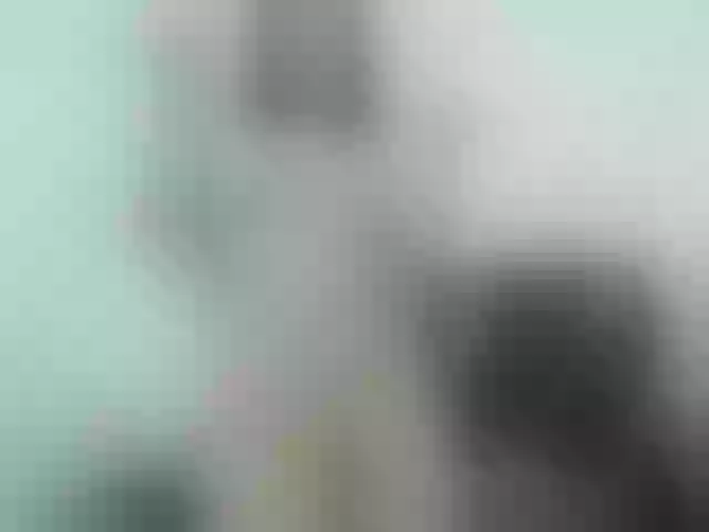 Live sex webcam photo for AliciaKennet #261187592