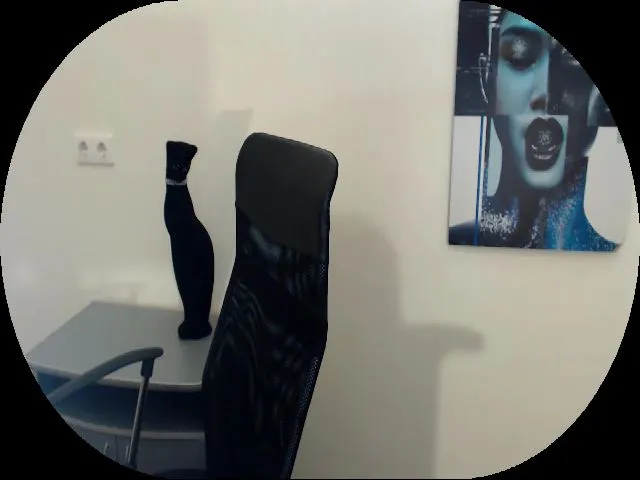 Live sex webcam photo for MollyMey #264474238