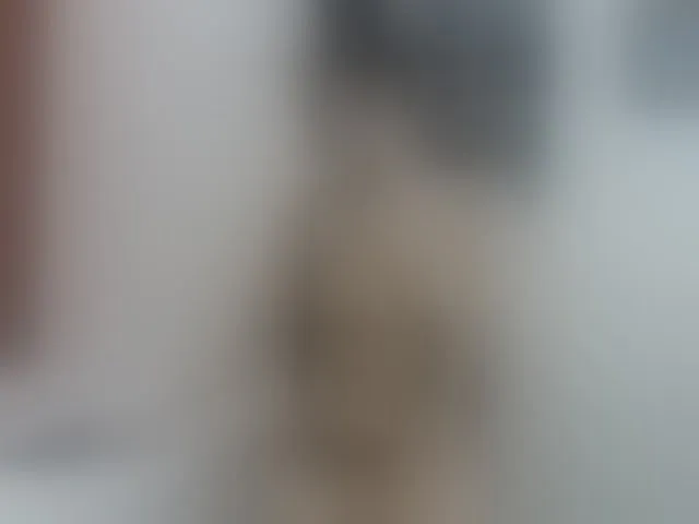 Live sex webcam photo for shantal20 #241439938