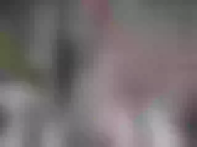 Live sex webcam photo for QuinnGray #252380861