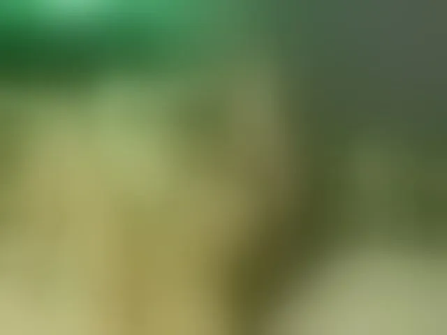 Live sex webcam photo for Alexajoyy #252266703