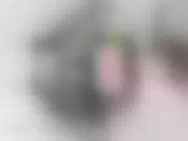 Live sex webcam photo for Anymaisa_Air #264959245