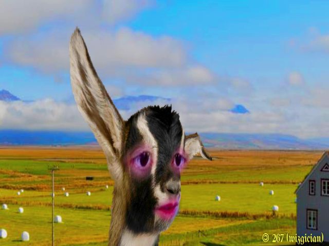 Live sex webcam photo for MinnieMoralia #254308004