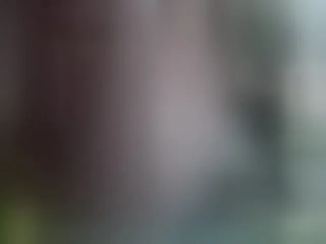 Live sex webcam photo for Oldslyfoxi #260370825