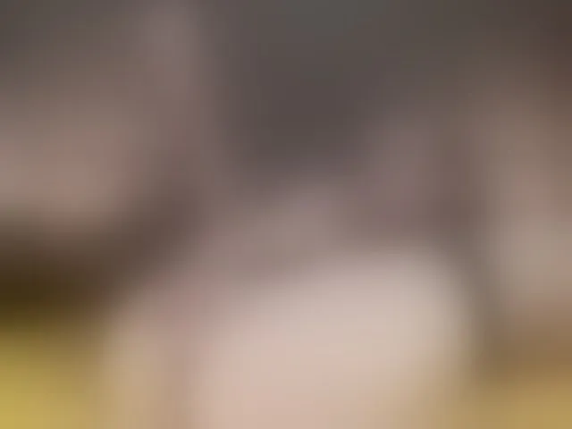Live sex webcam photo for nicehotjob #241412553