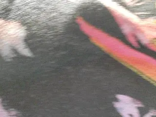 Live sex webcam photo for Prurient-Gem #240683874