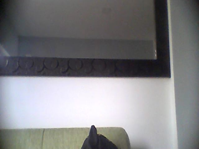 Live sex webcam photo for madamm #255037551