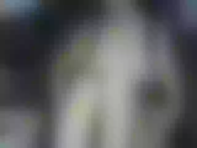 Live sex webcam photo for SweetWoman777 #252884237