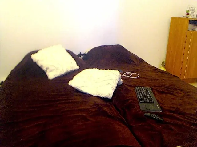 Live sex webcam photo for AliceBiggAss #255883942