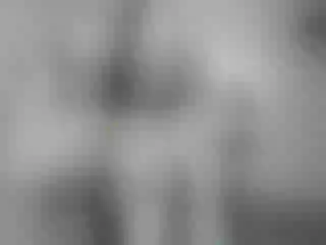 Live sex webcam photo for LEYNABRAUN #263680323
