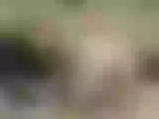 Live sex webcam photo for amanthajinx #240882560