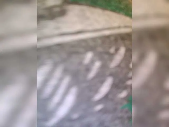 Live sex webcam photo for Prurient-Gem #251457475