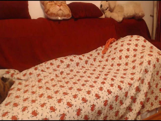 Live sex webcam photo for HelenaSteel #258839396