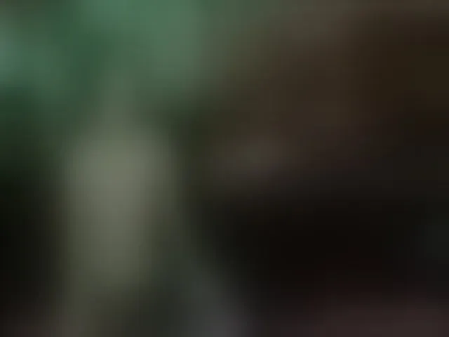 Live sex webcam photo for EmberBurns #261875461
