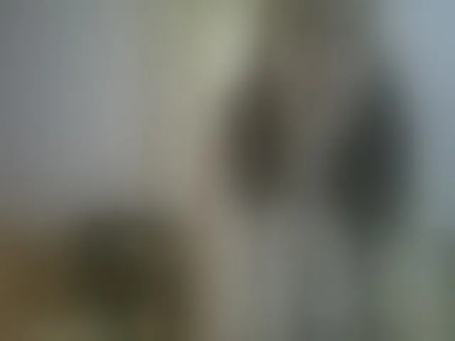 Live sex webcam photo for Reedanabwl #252409889
