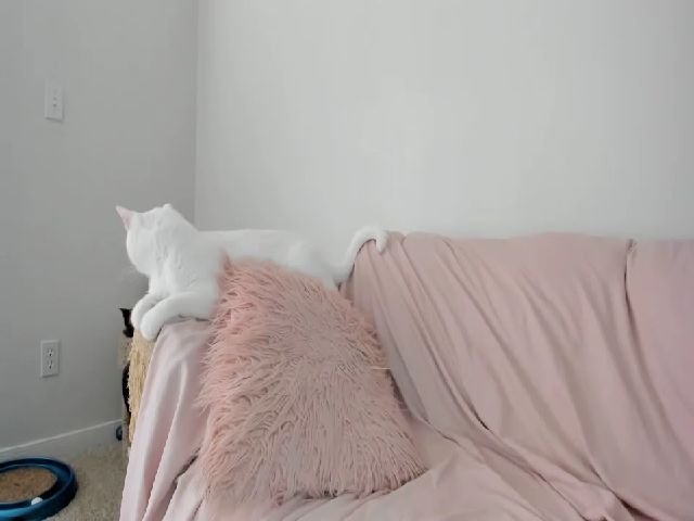 Live sex webcam photo for Meganholly00 #253498691