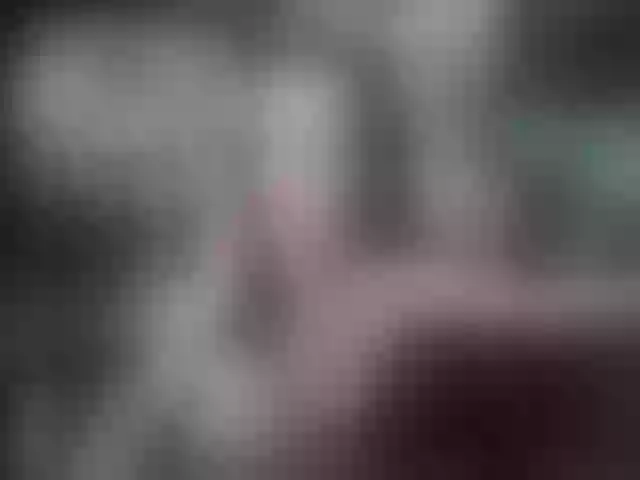 Live sex webcam photo for serenatv #260222938