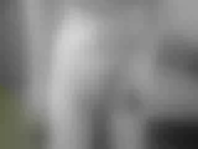 Live sex webcam photo for Evelynevi #252709747