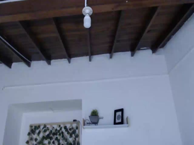 Live sex webcam photo for Abba_smith #263465744