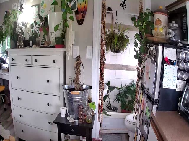 Live sex webcam photo for Sexylexi211 #260743963