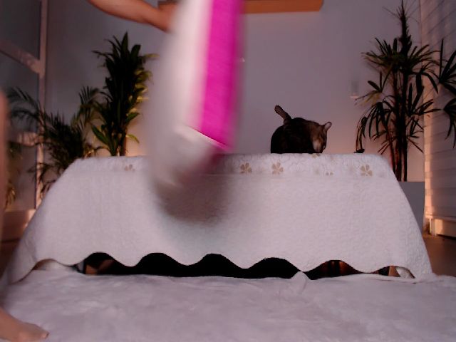 Live sex webcam photo for AngelaMar #256147571